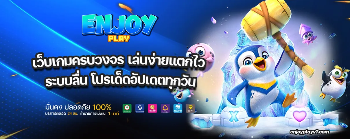 ENJOYPLAY